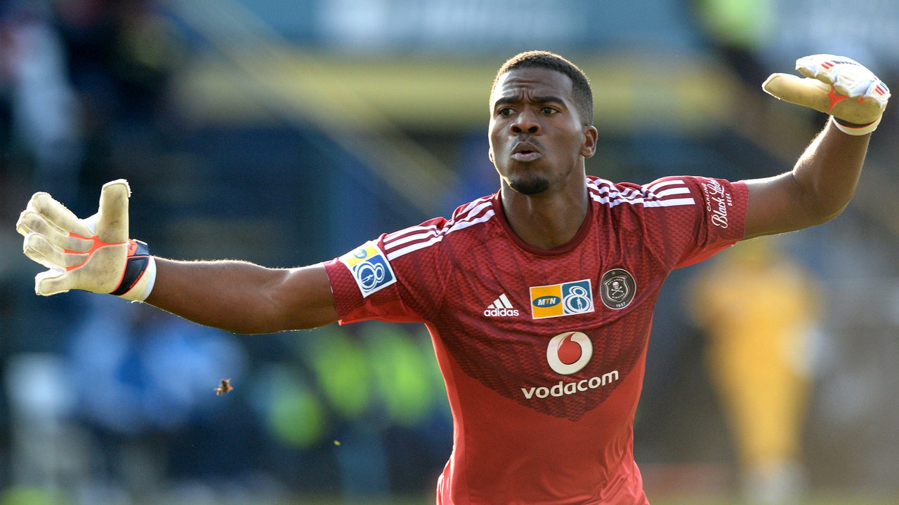 South African police release photofit images of Meyiwa killers